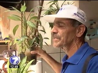 Ministerio de Salud ataca el dengue con plan que inició en La Carpio