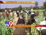 Banned opium cultivation exposed in Chittoor