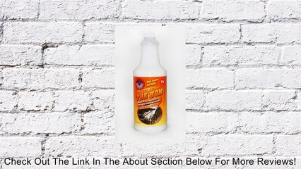 Professor Amos' The BOM Review