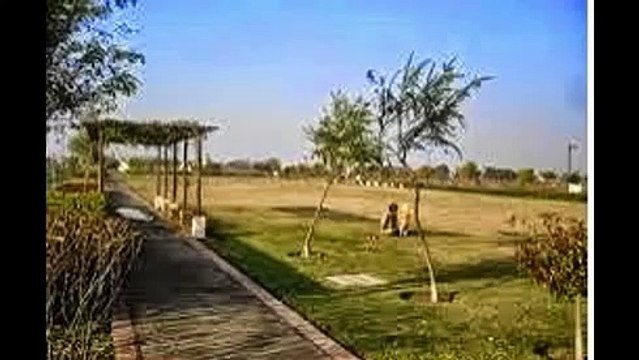 9872730395 Emmar Mgf The views Flats Sector 105 Mohali