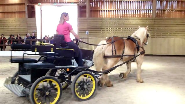 Spectacle Attelage - JPO Lycée Agricole Mancy 2012