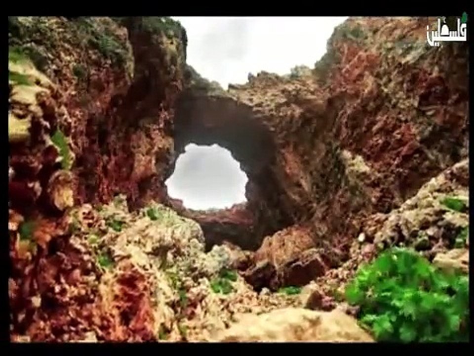 فلسطين هذا الصباح  الاربعاء 28_1 ج1