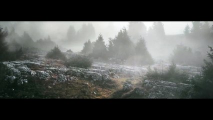 Audemars Piguet : Royal Oak Concept RD#1