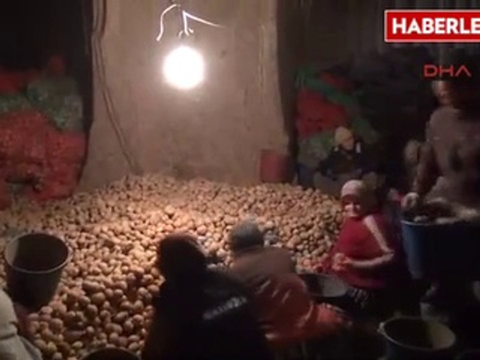Nevşehir Patateste Spekülatif Artış Olmaz