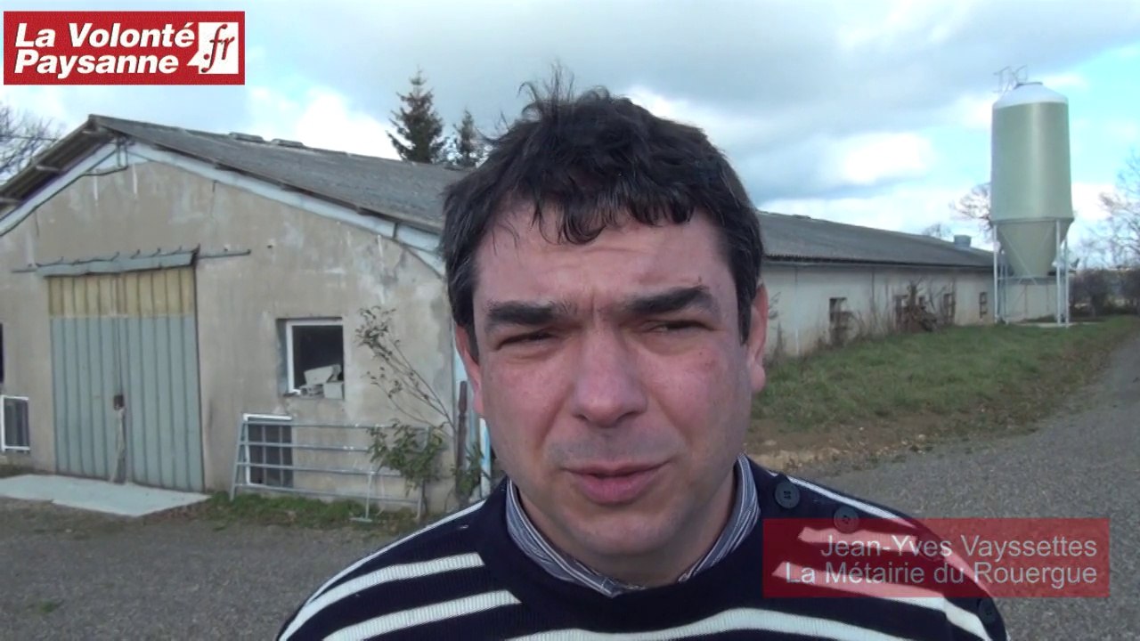Veaux de boucherie en Aveyron