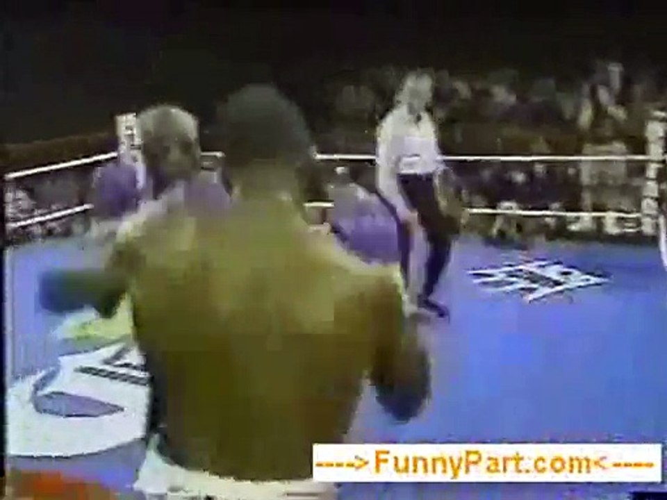 funny fighting little bux