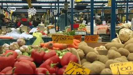 طبق بيغوس البولندي | يوروماكس