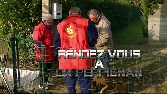 Gadjo du Domaine de Vauroux, Perpignan 2015, Mondioring 1