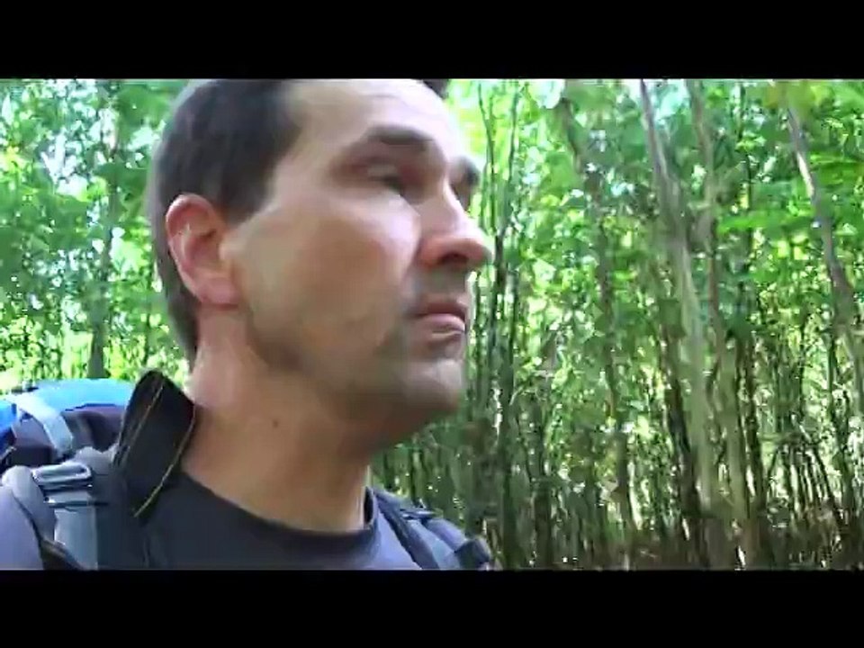 Weggedanken . . . über den Jakobsweg Camino Francés Part 6