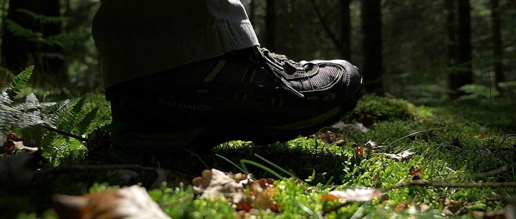 Portrait de Creuse - Marc Pouyet, landartiste