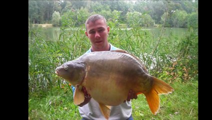 carpe révolution souvenirs 2013