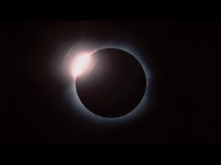 Django Django - Bail Hop