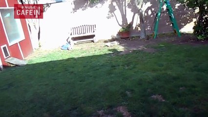 Cet énorme reptile est aussi câlin qu'un chien