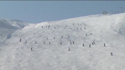 Geleceğin Kayakçıları Bitlis'te Yetişiyor