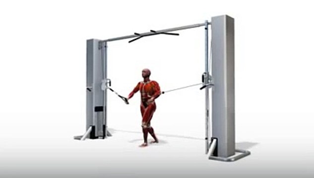 Workout Manager - Cable Crossover Flys (Chest Exercises)