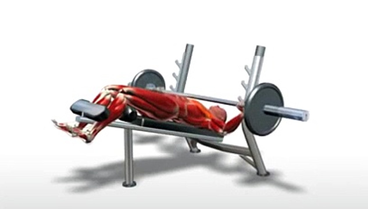 Workout Manager - Decline Bench Press (Chest Exercises)