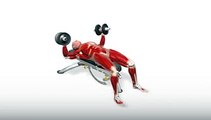 Workout Manager - Flat Bench Dumbbell Fly (Chest Exercises)