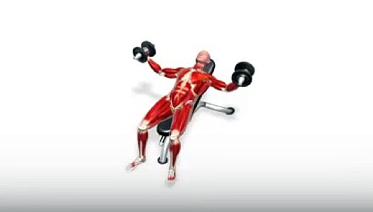 Workout Manager - Incline Dumbbell Fly (Chest Exercises)