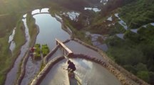 Wakeskate dans les rizières