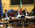 Roma - Comunicazioni Governo su Consiglio europeo (27.01.15)