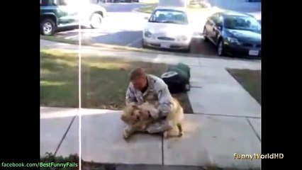 ---Best Fails Wins and Funny pranks compilation