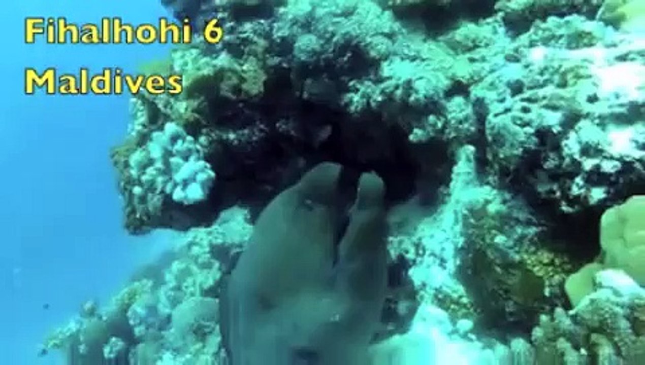 Fihalhohi 6