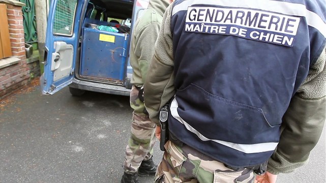 Avesnes-sur-Helpe: contrôle de gendarmerie avec la brigade cynophile à la recherche de stupéfiants, armes et faux billets