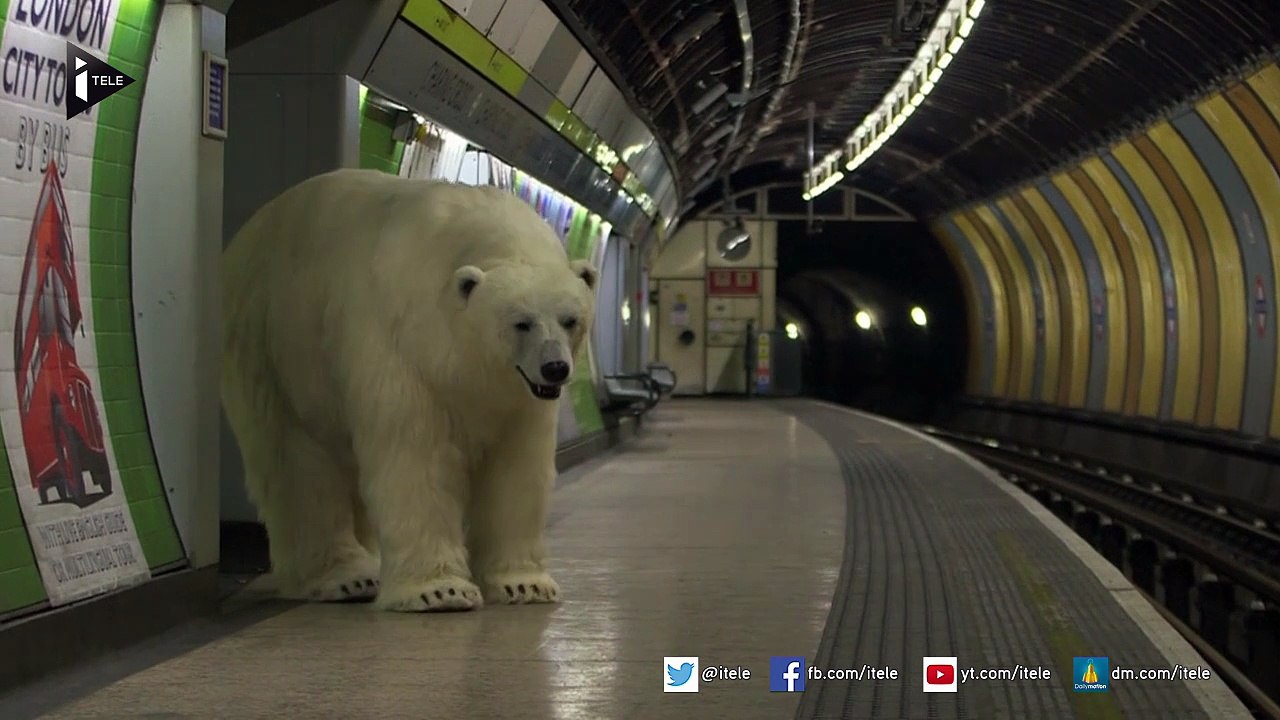 Un "faux" ours polaire en balade dans le métro londonien