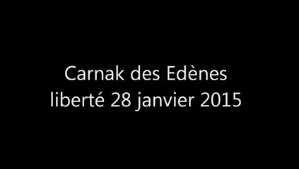 Carnak des Edènes janvier 2015 liberté