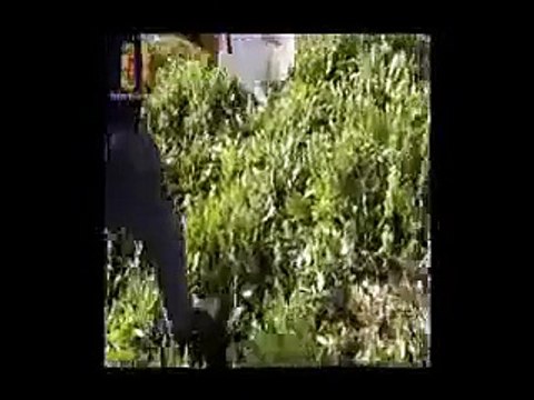 Casal di Principe (CE) - Armi e documenti falsi sequestrati al clan: due arresti (28.01.15)