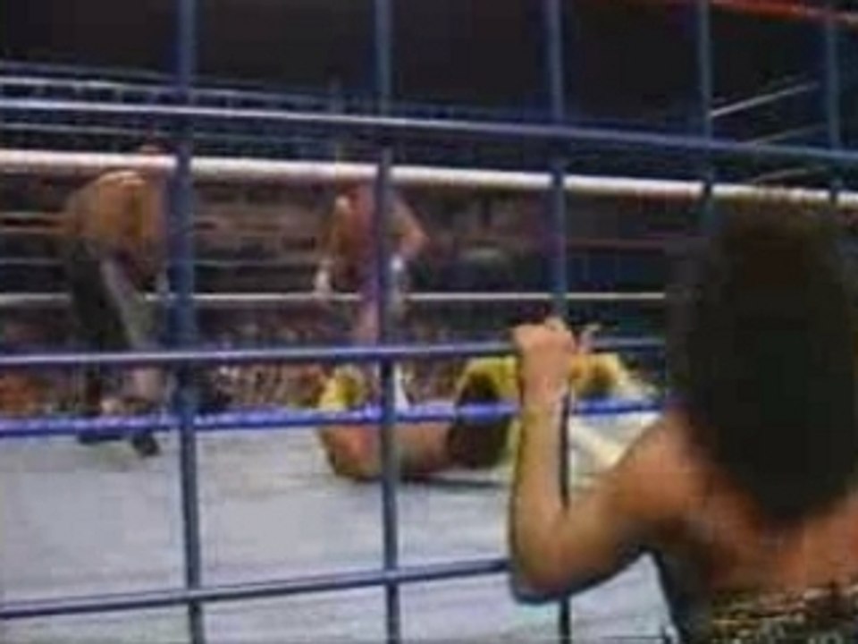 Hulk Hogan & Brutus VS Zeus & Macho Man