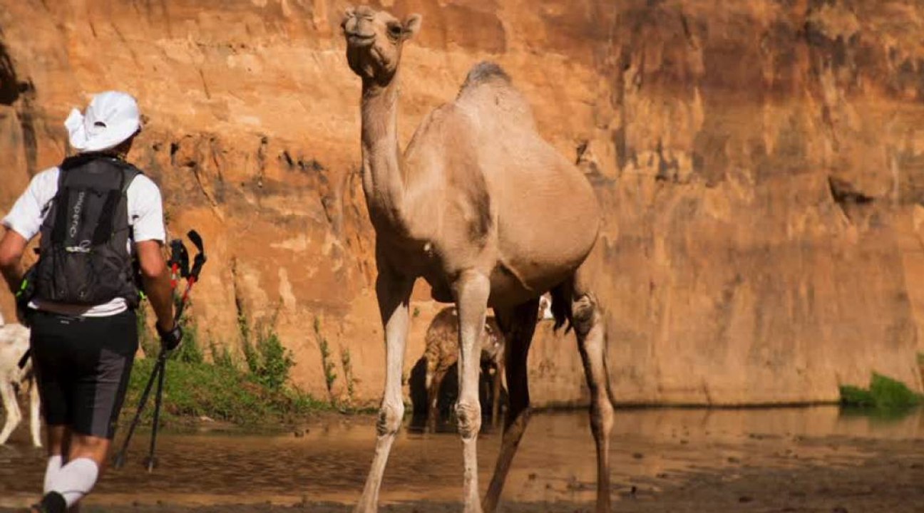 Le TREG, nouvelle course extrême au Tchad