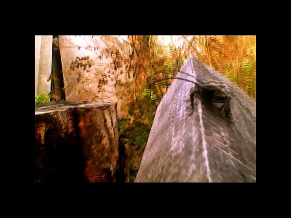 Sasha Persholja - Nonsense Talker (Official Music Video)