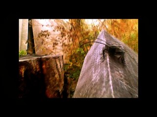 Sasha Persholja - Nonsense Talker (Official Music Video)