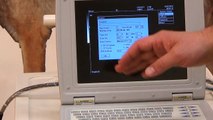 Quality Veterinary Laptop Ultrasound KX5000V Features / Keebomed, Inc