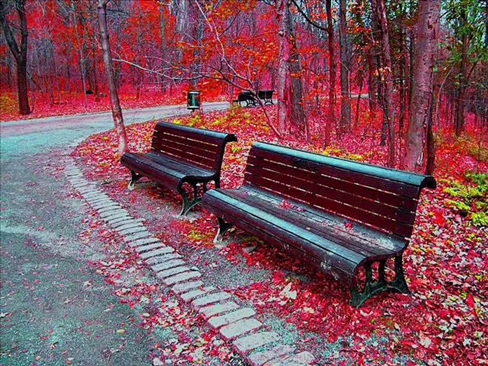 Chris Spheeris & Anthony Mazzella - Brio (Enstrumantal)