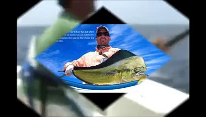 Costa Rica Tarpon Fishing