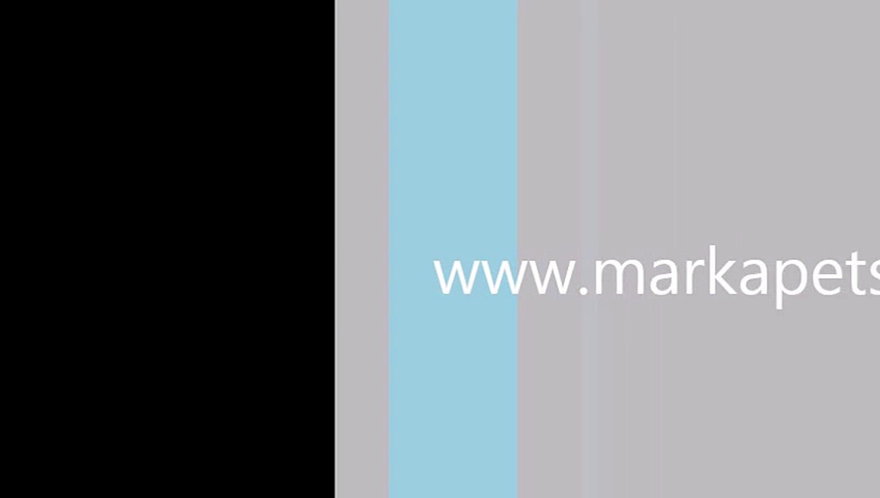 kedi tuvalet kabı,kedi tuvalet kapları,en ucuz kedi tuvaleti,kapalı kedi tuvaleti