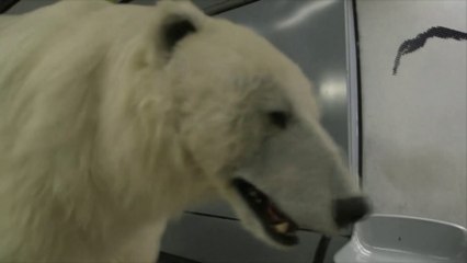 Un faux ours polaire sème la panique dans le métro londonien