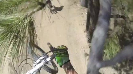 Tellement son saut est haut, il rentre dans un arbre