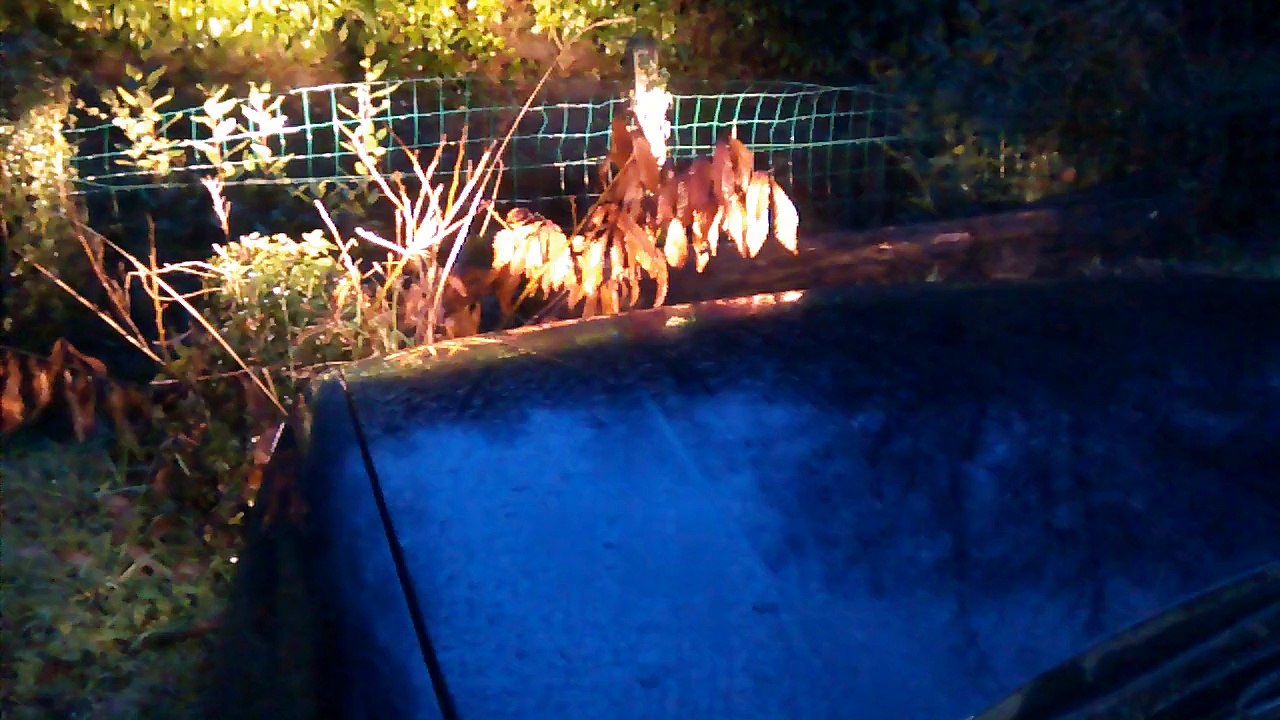 Problème embrayage 406