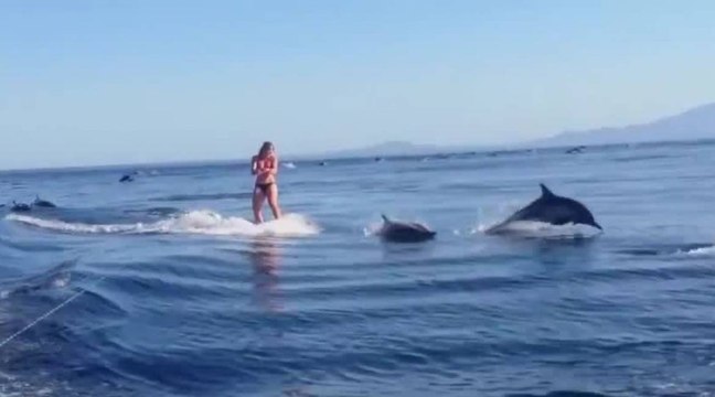 Inattendu : elle fait du wakeboard avec des dizaines de dauphins