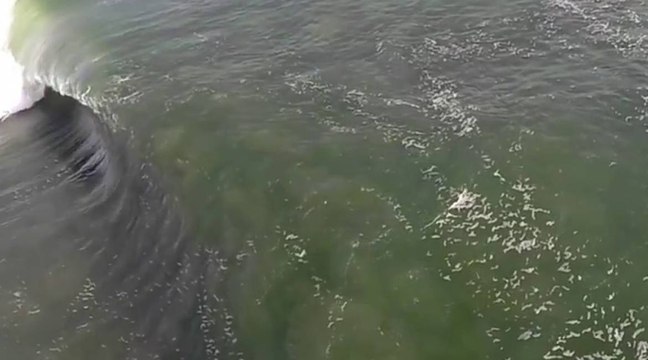 Nouvelle vidéo impressionnante de Skeleton Bay (Namibie)