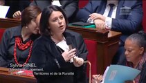 S. Pinel répond à une QAG de M. Sylvain Berrios au sujet de la construction de logements sociaux