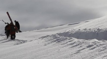 AWONE FILMS : le retour des suisses déjantés