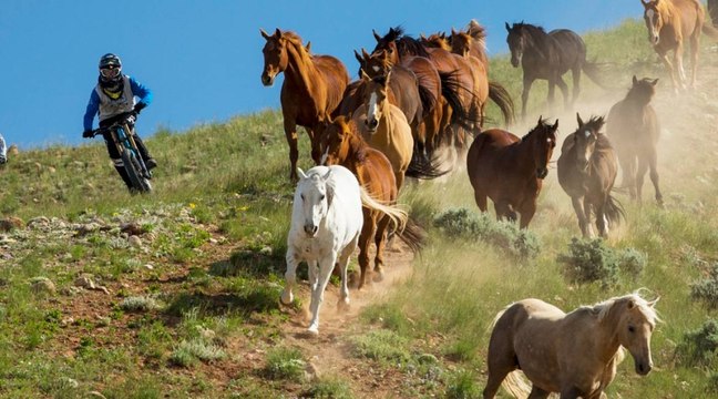 Teton Gravity nous fait voyager dans un autre monde