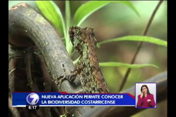 Un app le permitirá aprender sobre la biodiversidad en Costa Rica