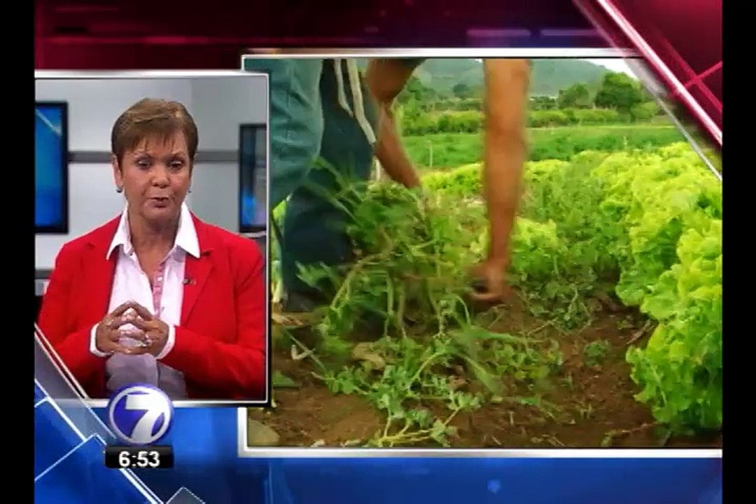 Agricultores celebran su día enfrentando retos del cambio climático