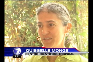 Festival une a Costa Rica y Nicaragua en defensa de la lapa verde