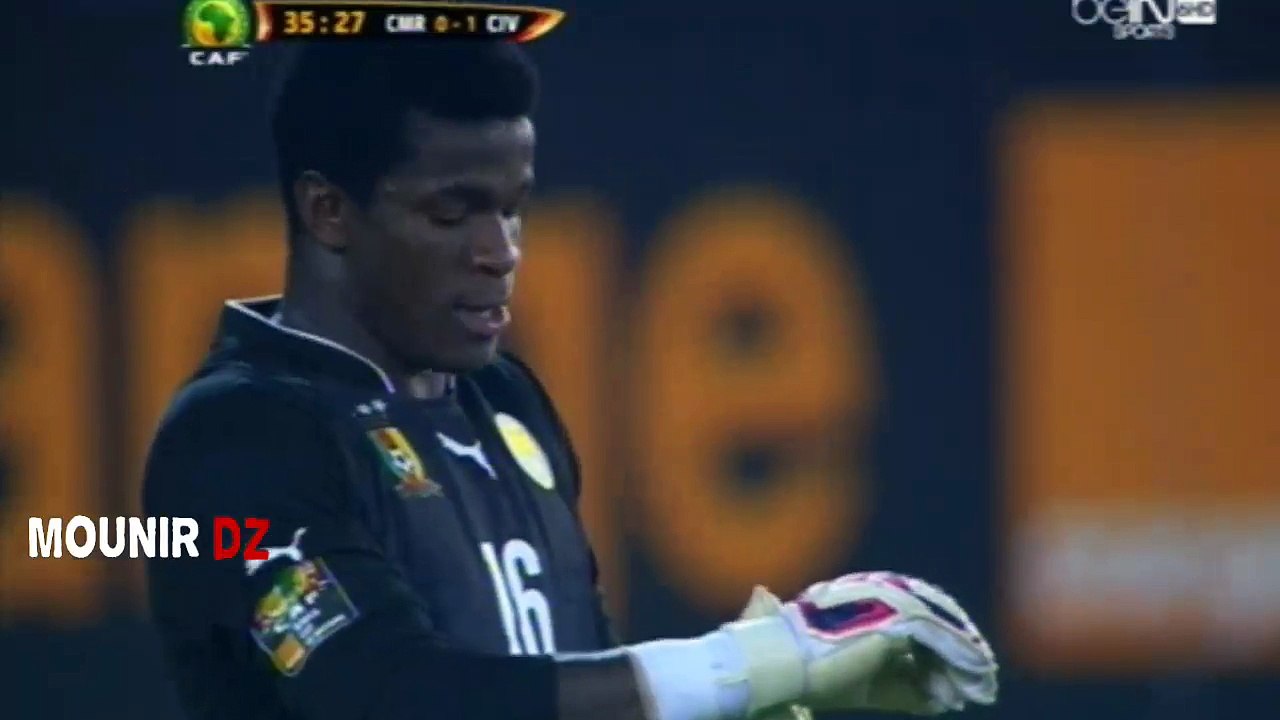 Côte-d'Ivoire vs Cameroun 1-0 : Coupe d'Afrique des Nations (CAN 2015)